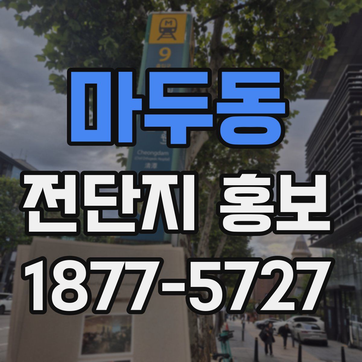 마두동 전단지 홍보