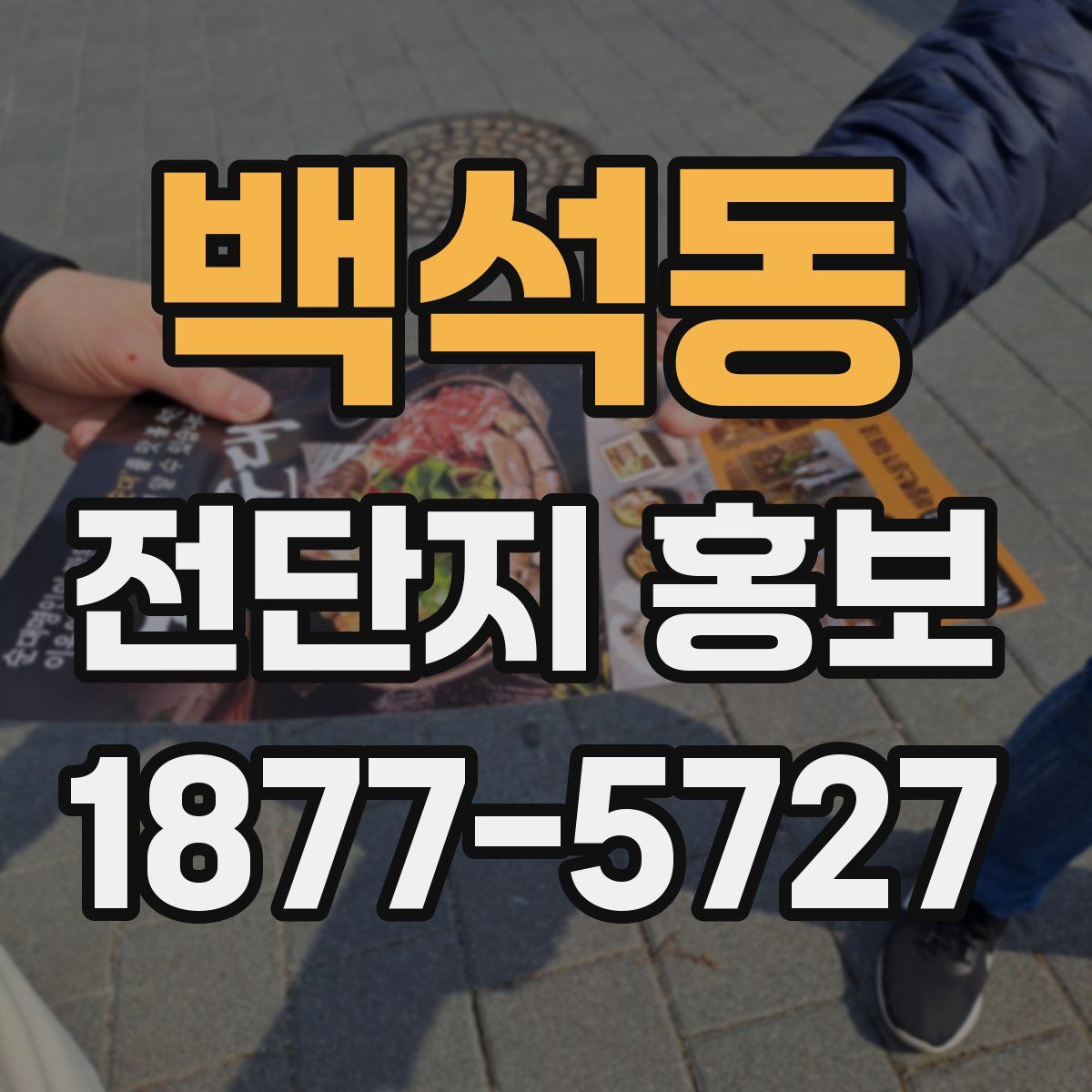 백석동 전단지 홍보