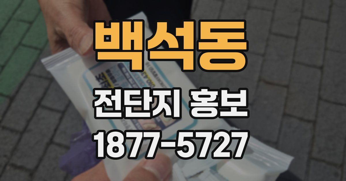 백석동 전단지 홍보