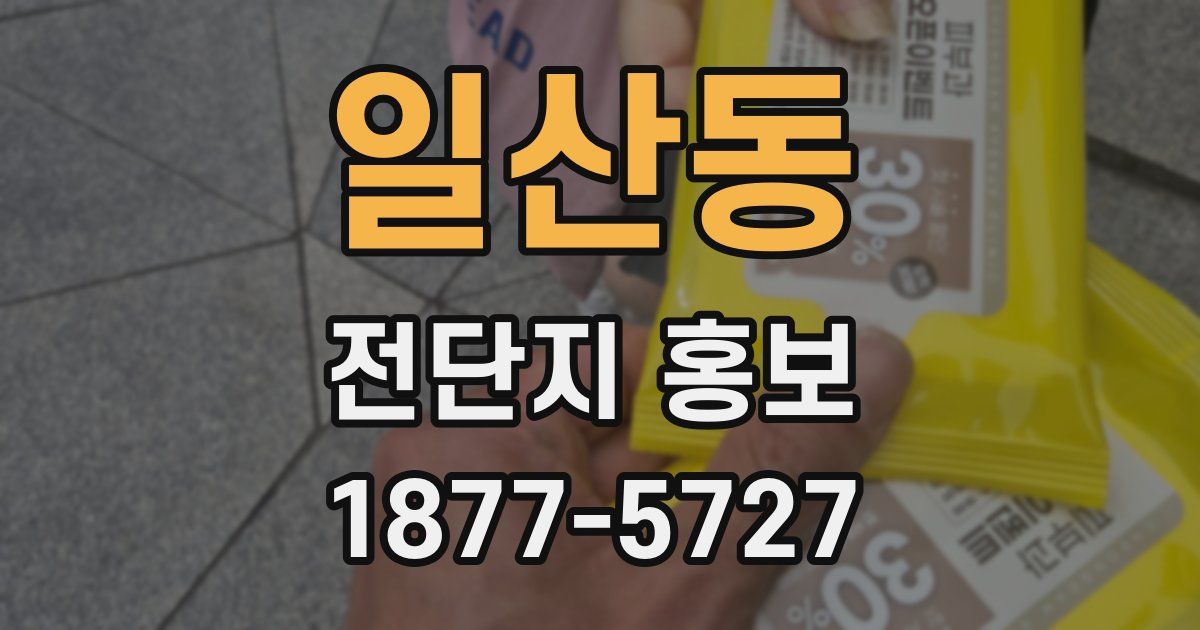 일산동 전단지 홍보