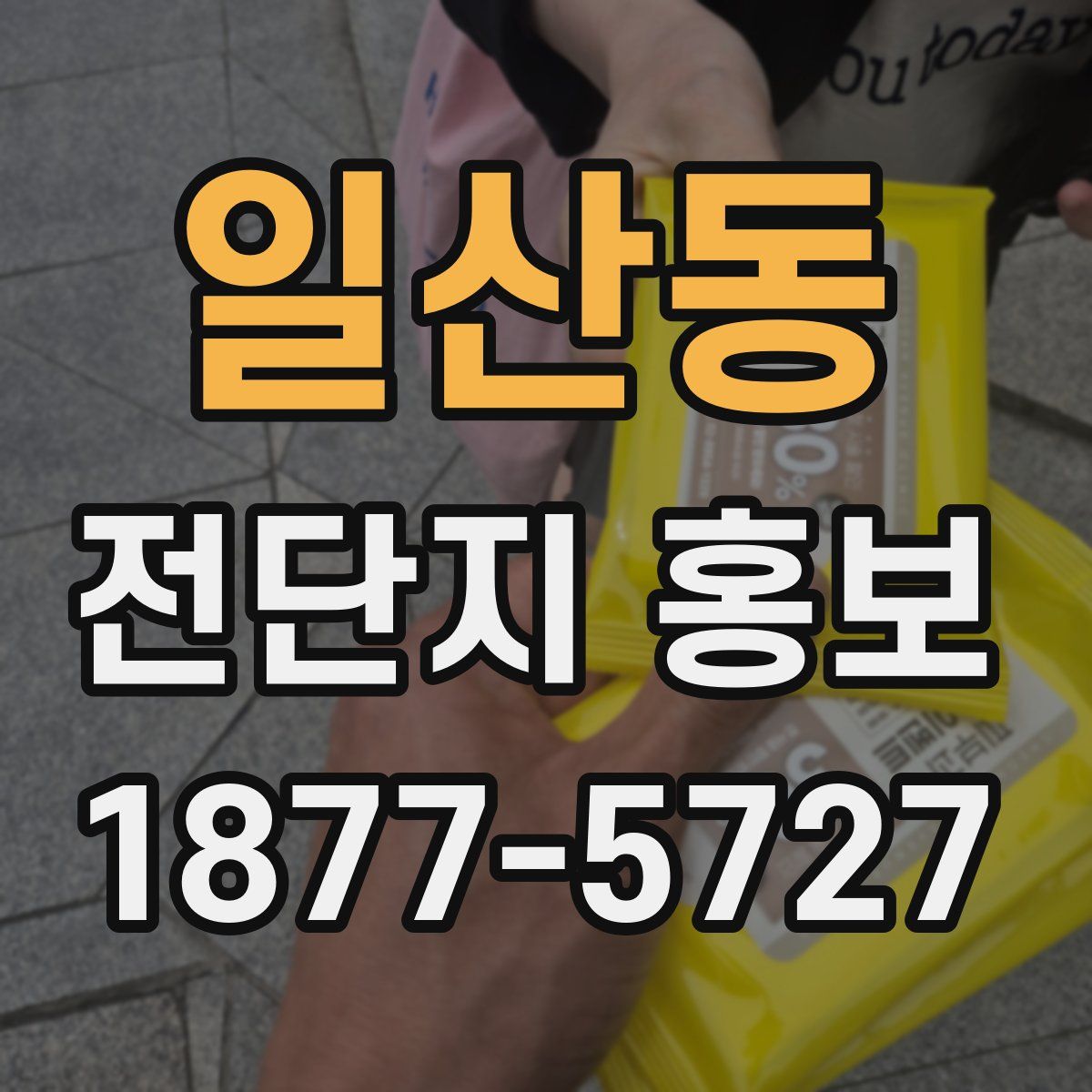 일산동 전단지 홍보