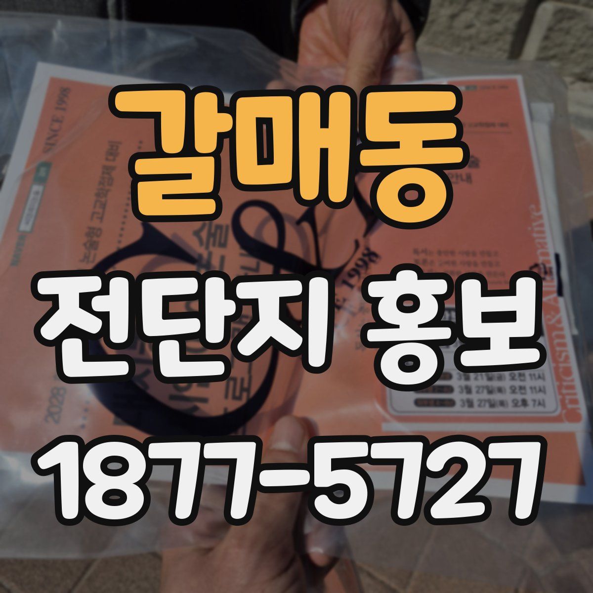 갈매동 전단지 홍보