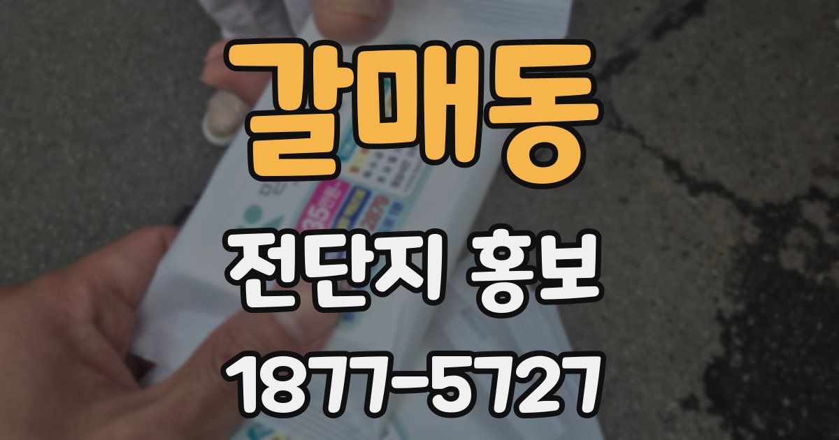 갈매동 전단지 홍보