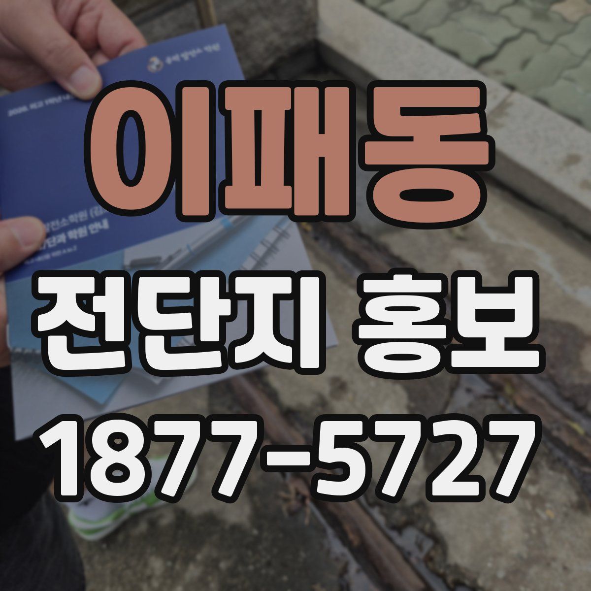 이패동 전단지 홍보