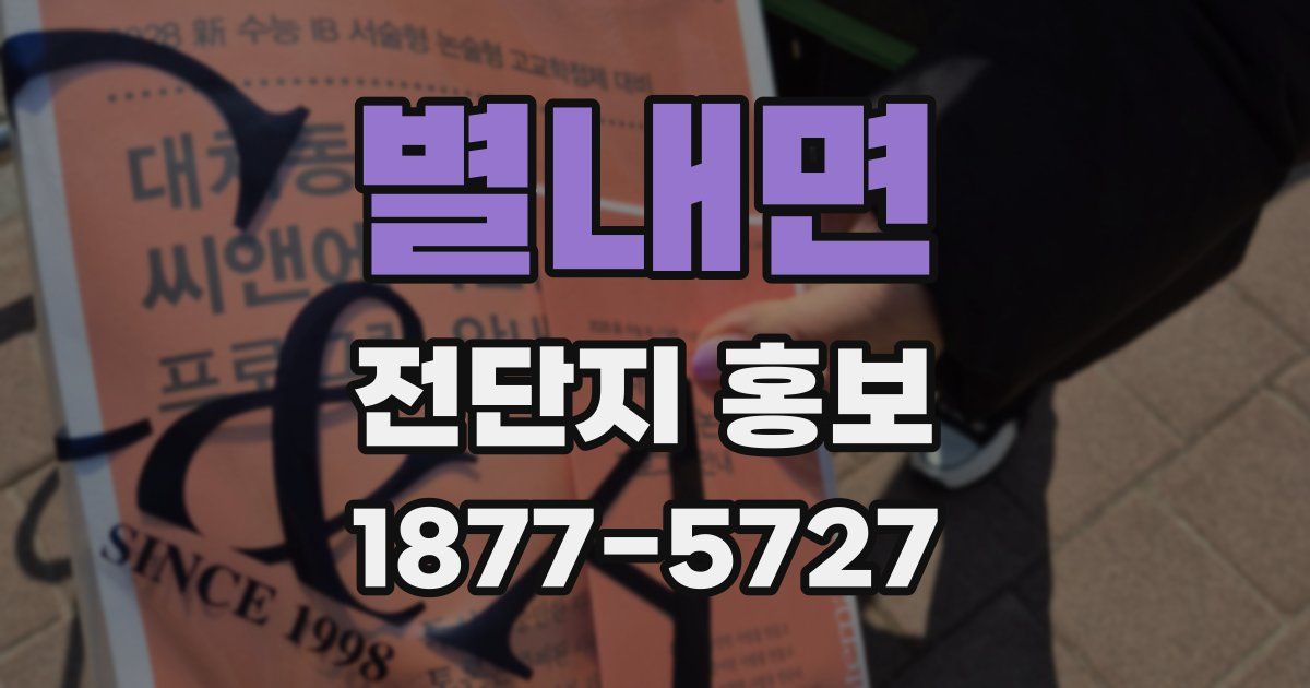 별내면 전단지 홍보