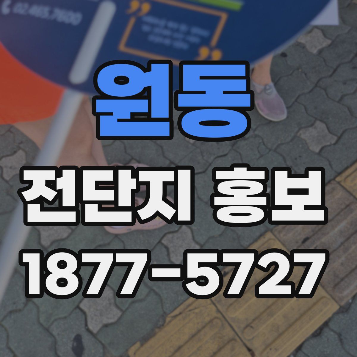 원동 전단지 홍보