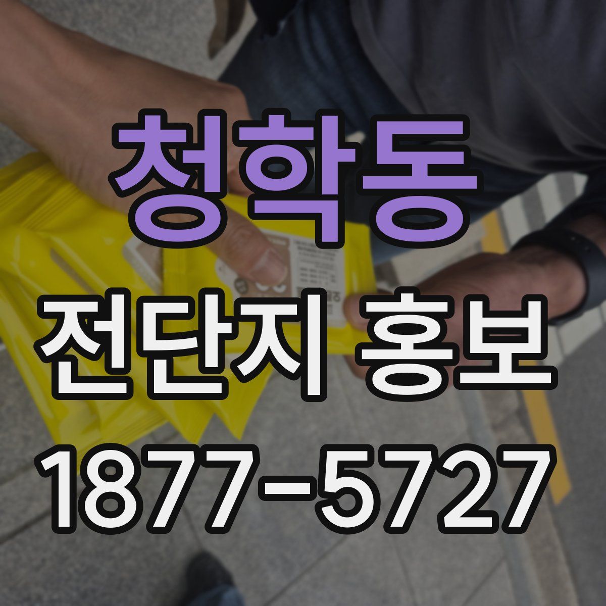 청학동 전단지 홍보