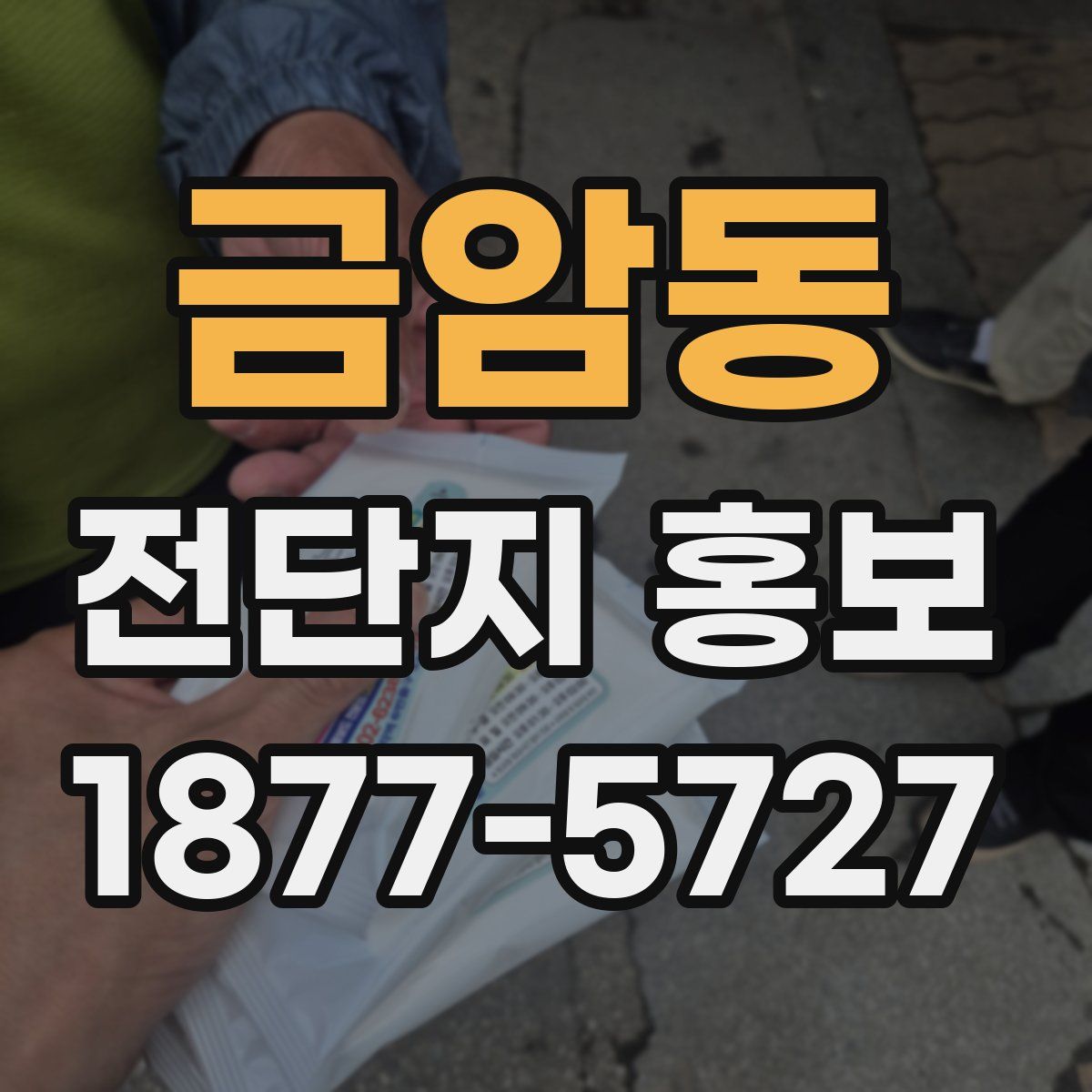 금암동 전단지 홍보