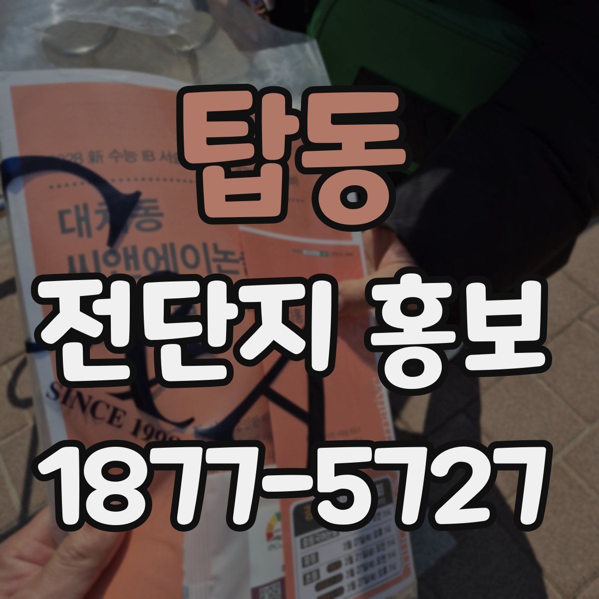 탑동 전단지 홍보