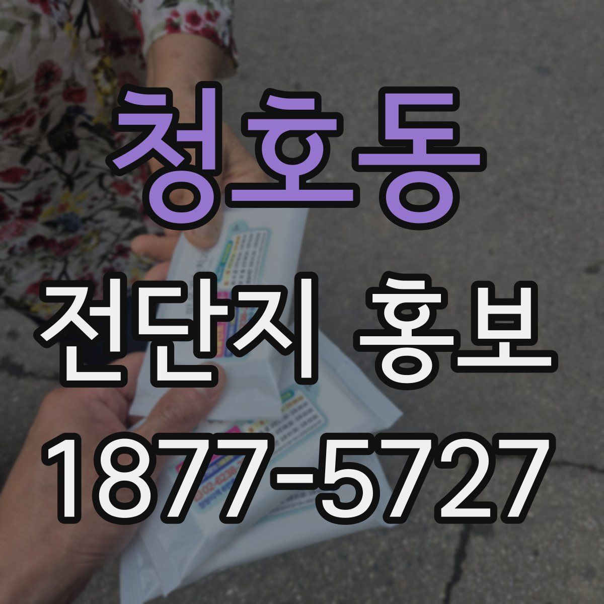 청호동 전단지 홍보