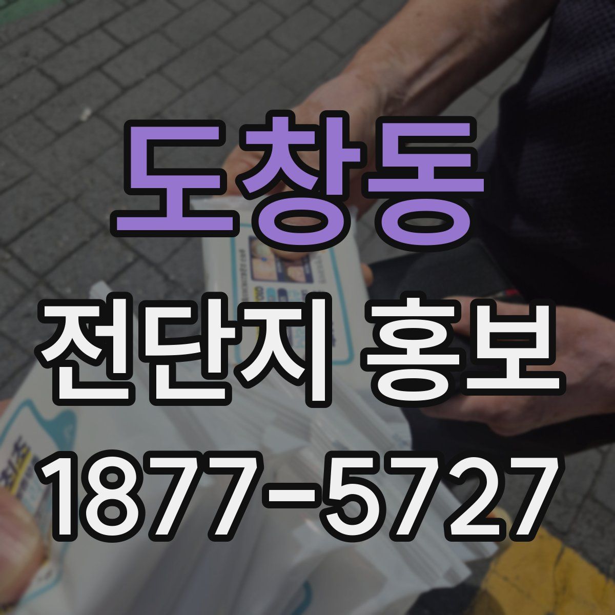 도창동 전단지 홍보