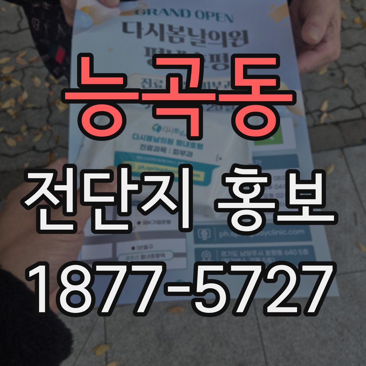 능곡동 전단지 홍보