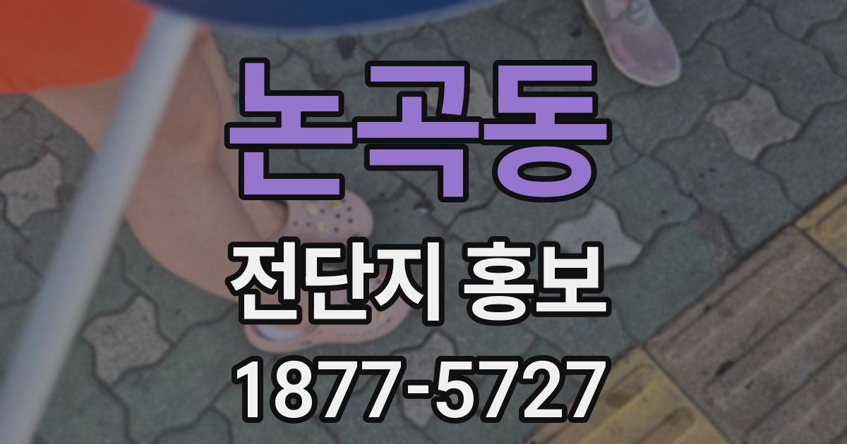 논곡동 전단지 홍보
