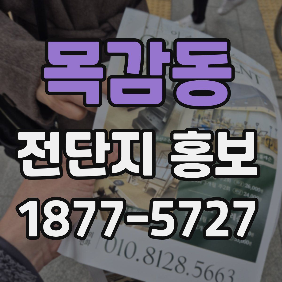 목감동 전단지 홍보