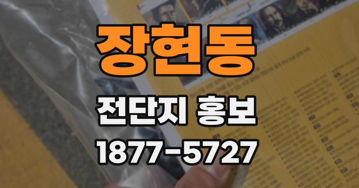 장현동 전단지 홍보
