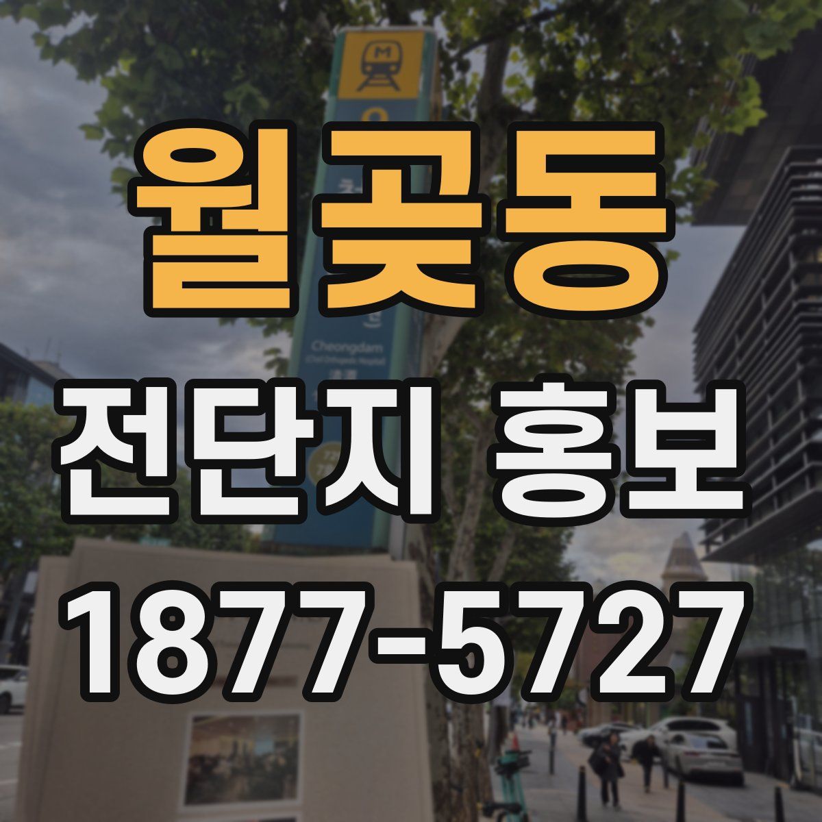월곶동 전단지 홍보