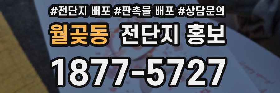 월곶동 전단지 홍보
