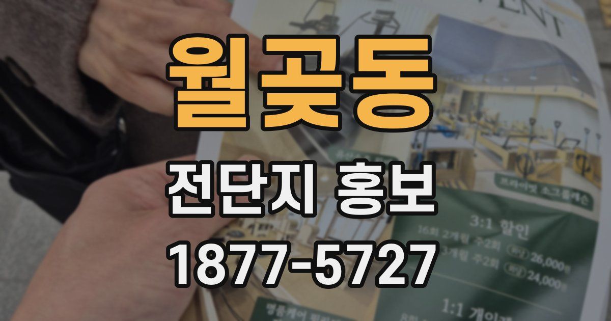 월곶동 전단지 홍보