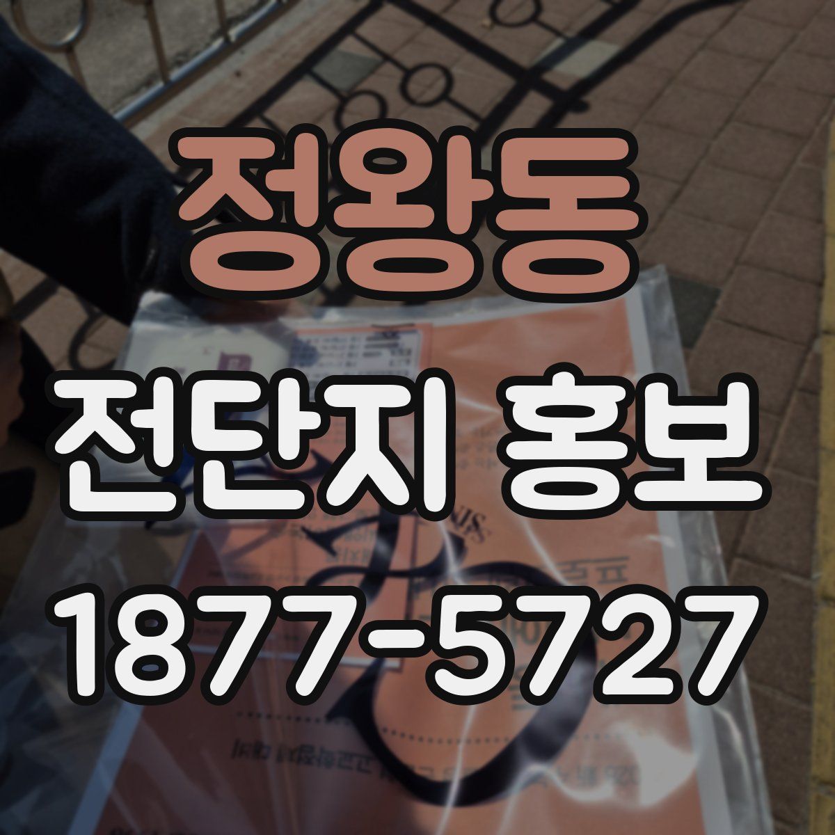 정왕동 전단지 홍보