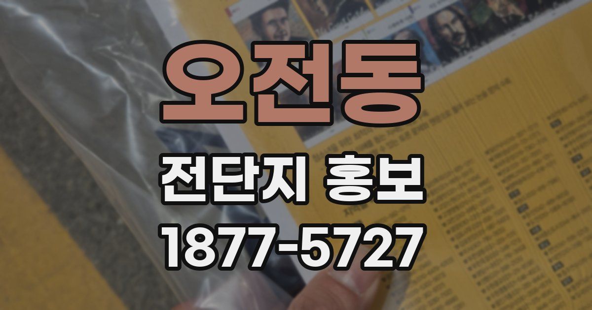 오전동 전단지 홍보