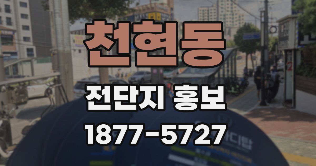 천현동 전단지 홍보