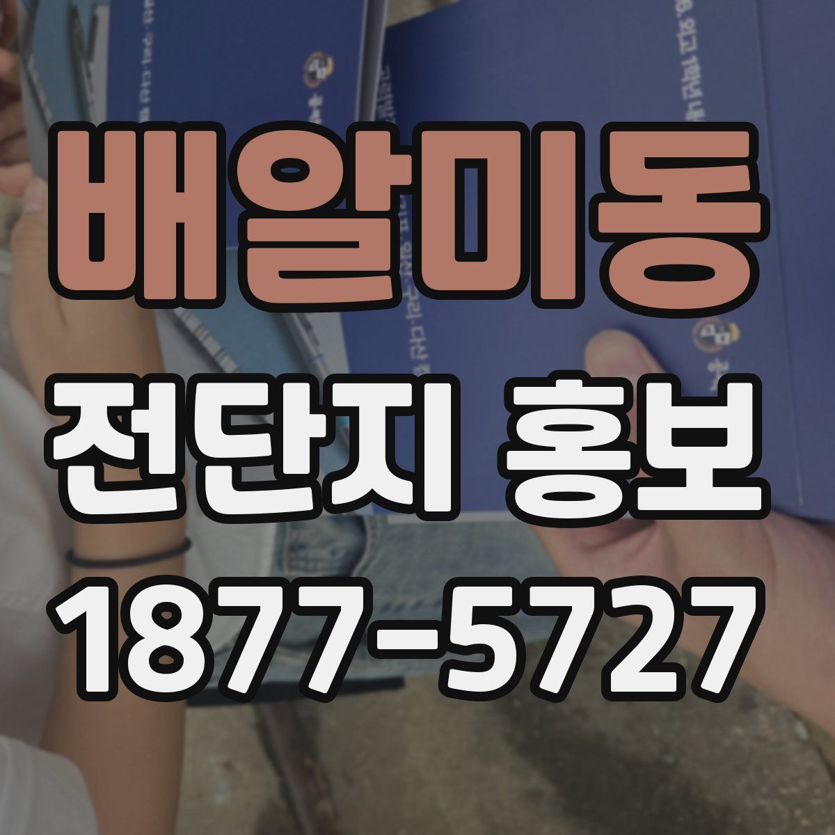 배알미동 전단지 홍보