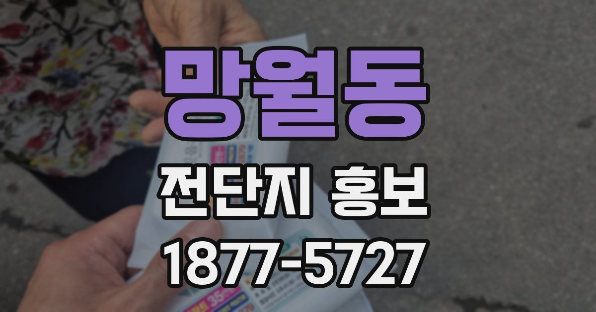 망월동 전단지 홍보