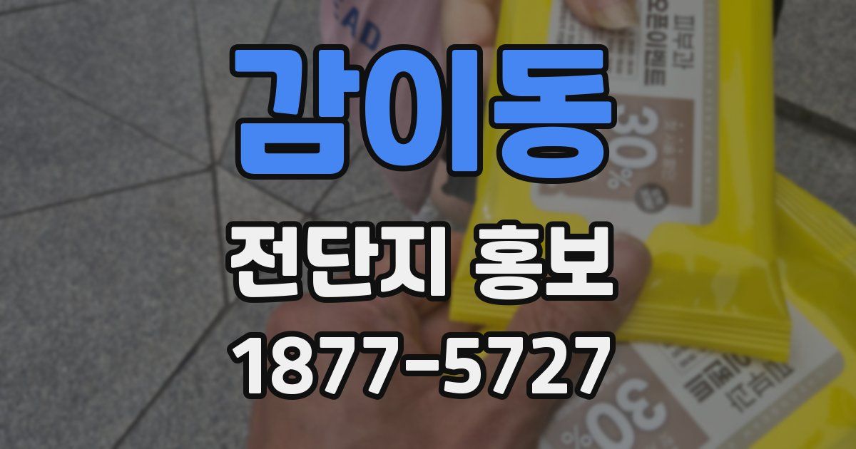 감이동 전단지 홍보