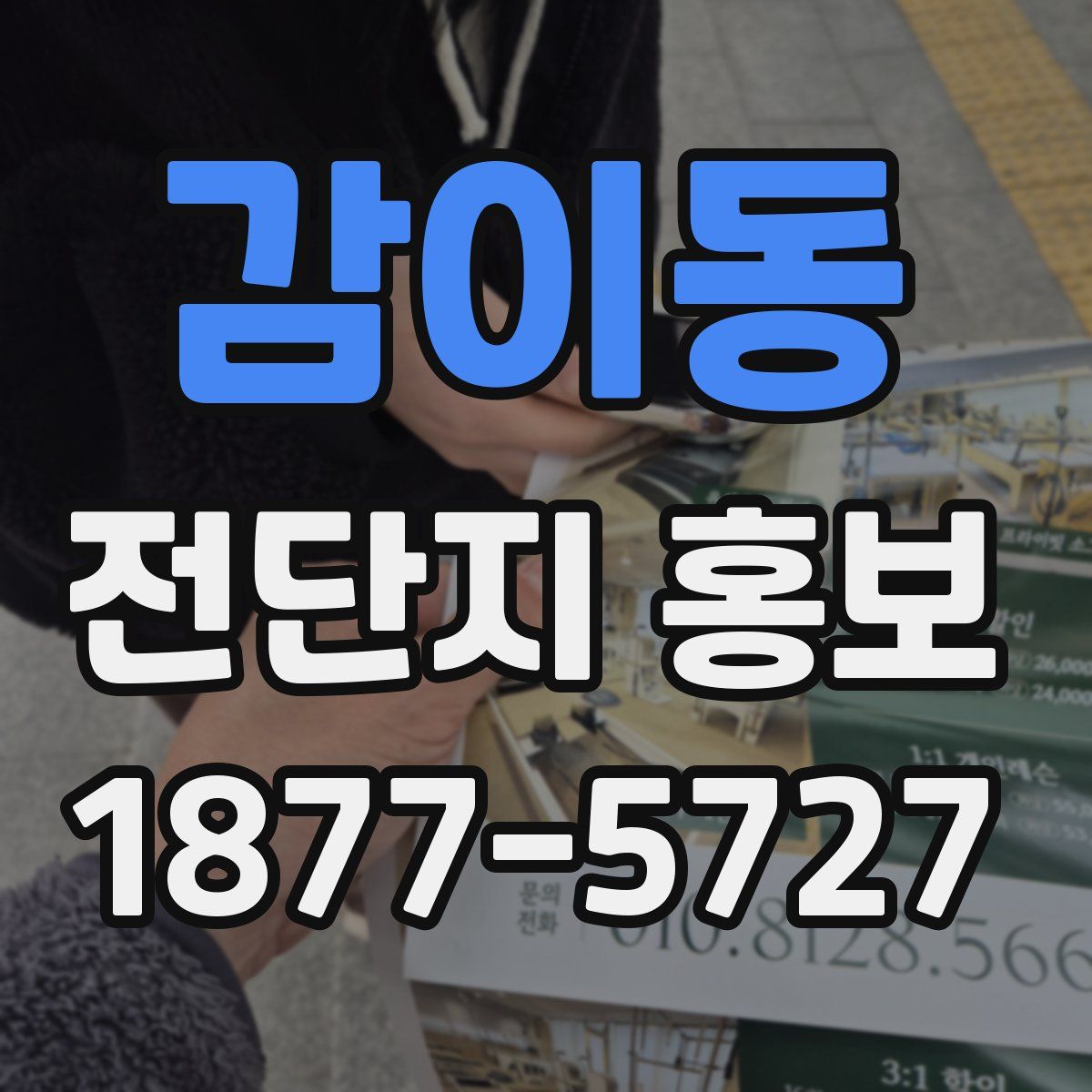 감이동 전단지 홍보