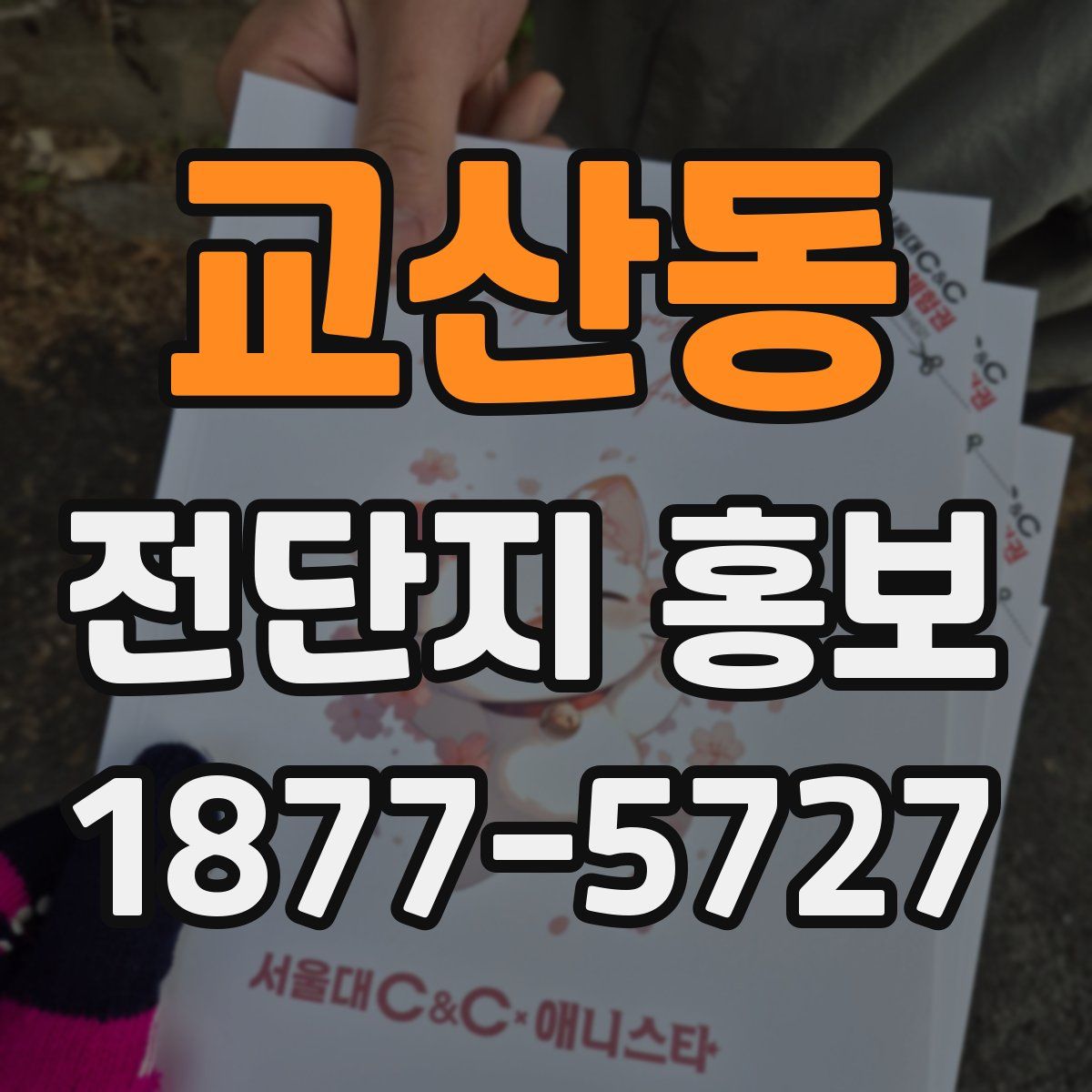 교산동 전단지 홍보