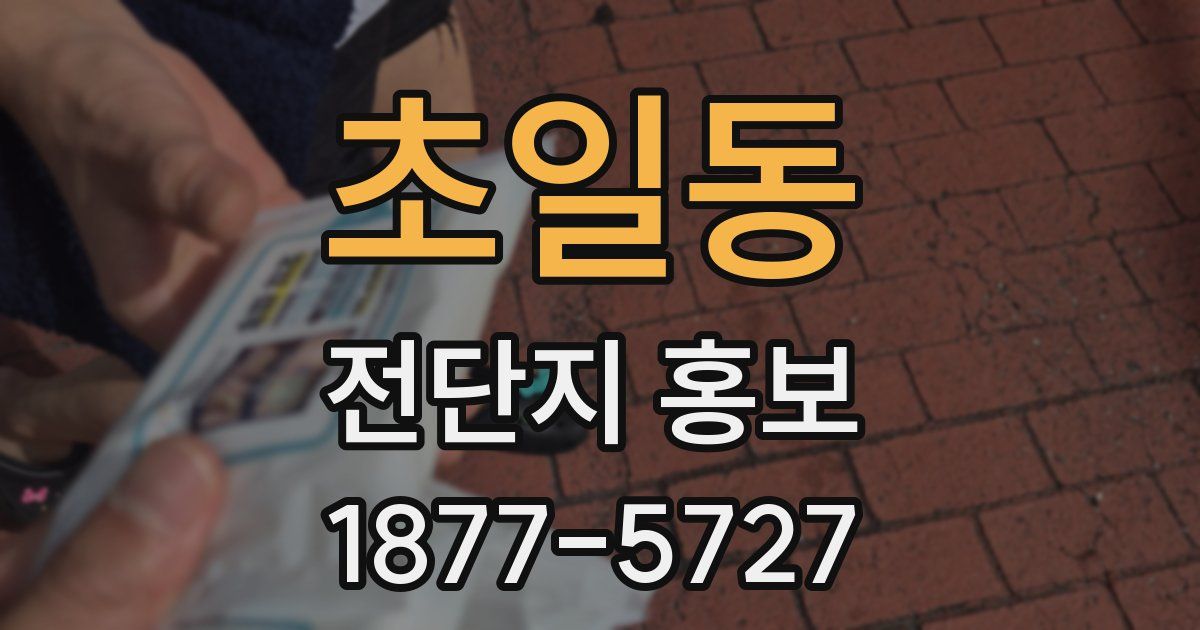 초일동 전단지 홍보