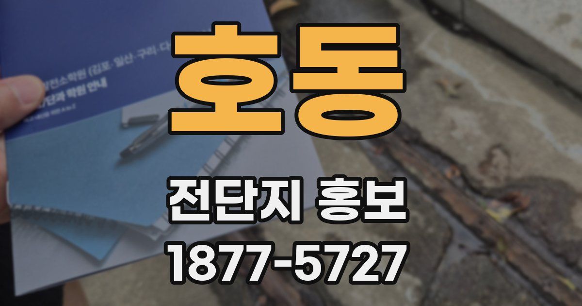 호동 전단지 홍보
