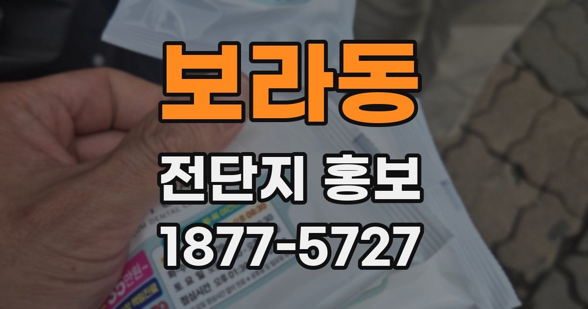 보라동 전단지 홍보