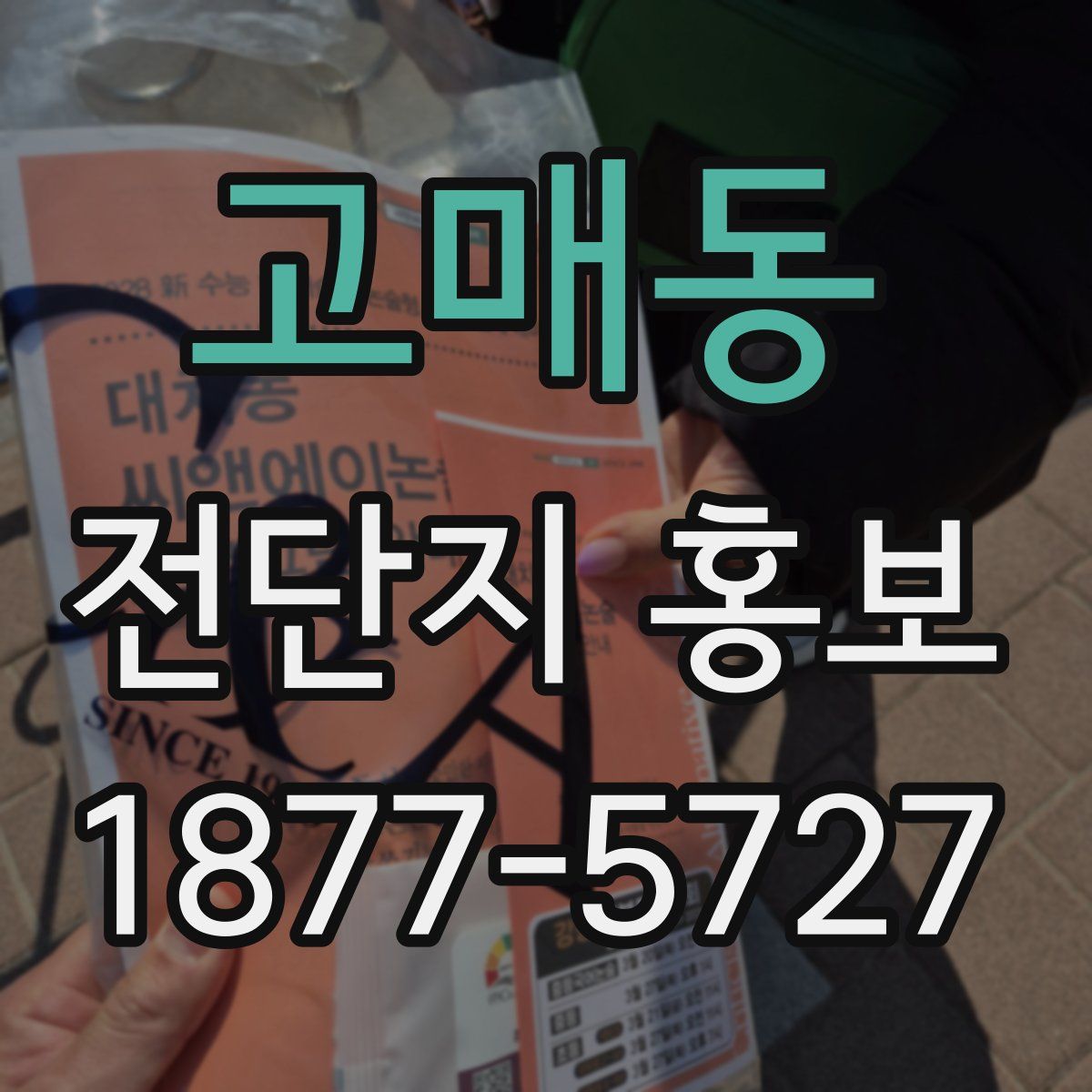 고매동 전단지 홍보