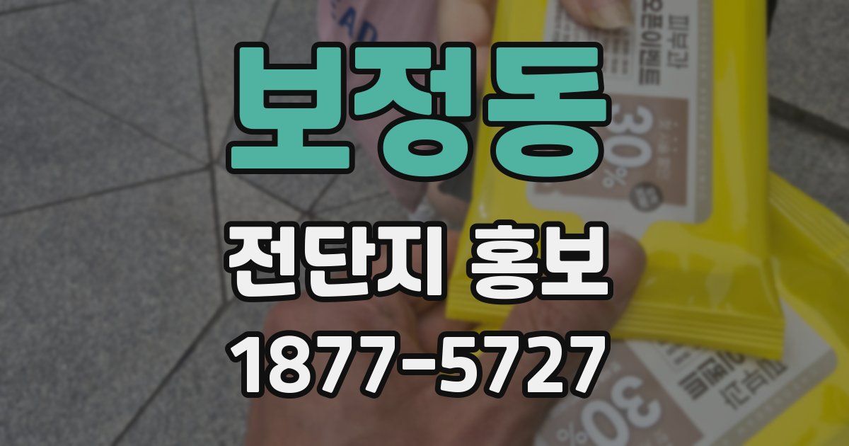 보정동 전단지 홍보