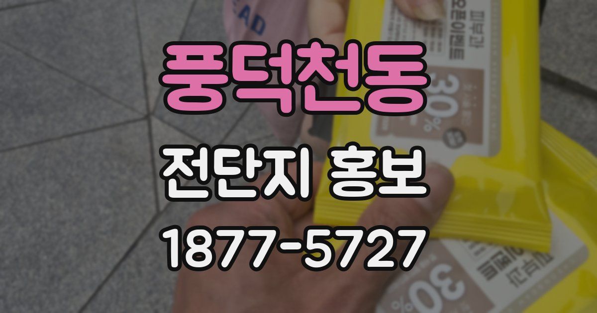 풍덕천동 전단지 홍보
