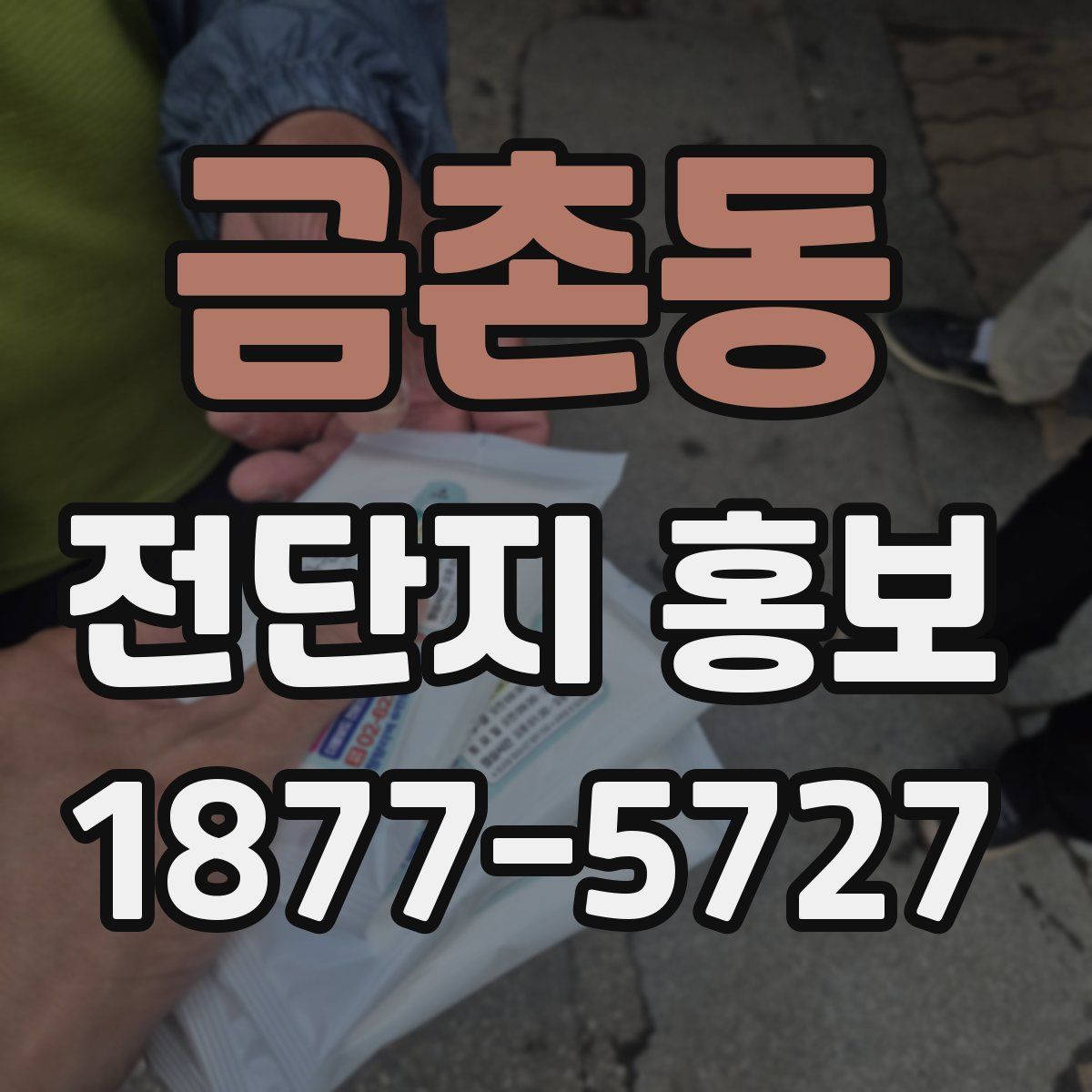 금촌동 전단지 홍보