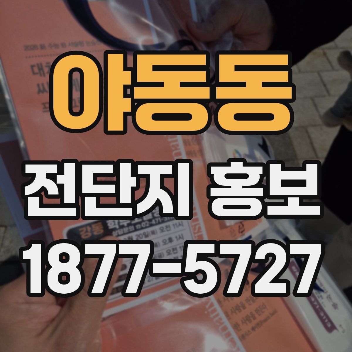 야동동 전단지 홍보