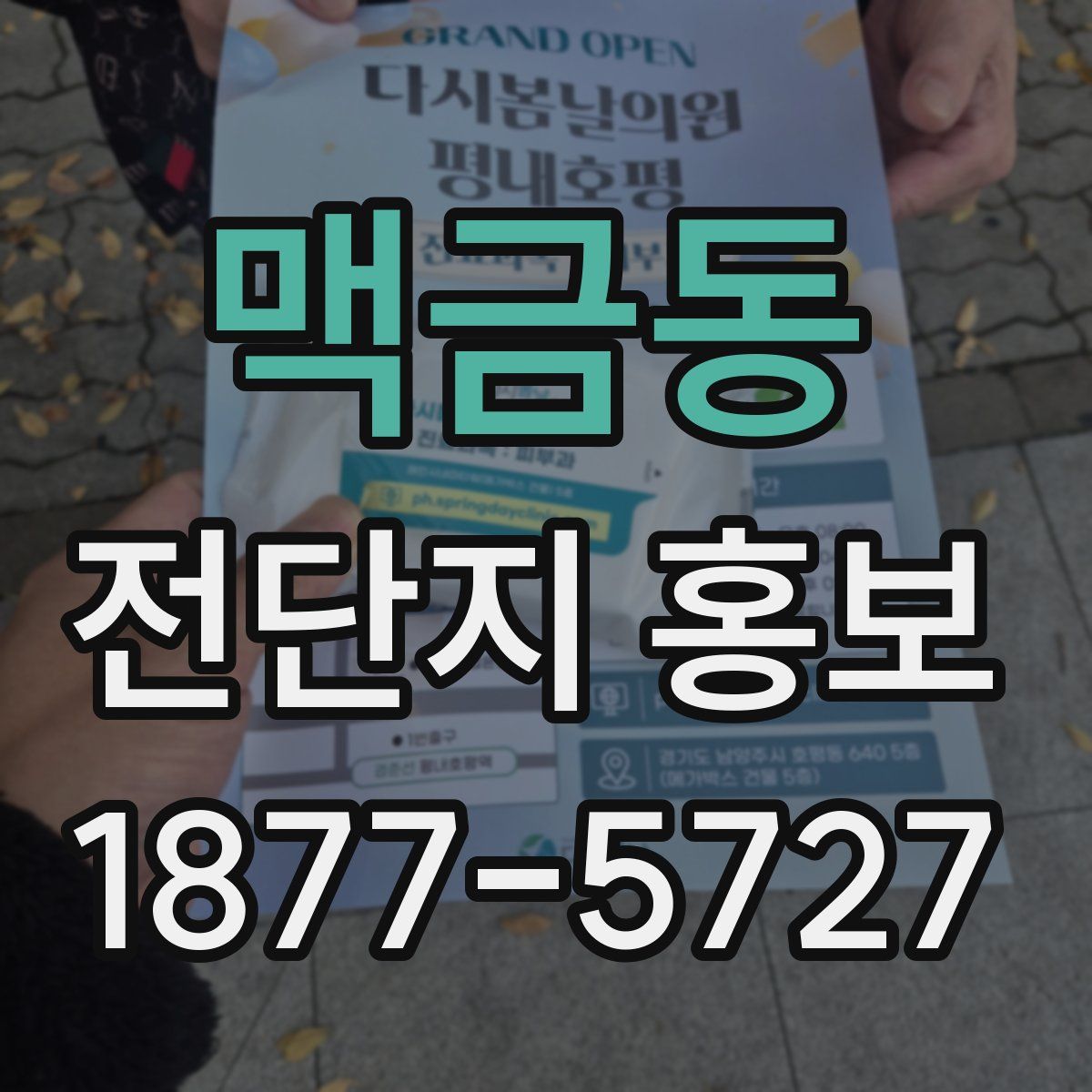 맥금동 전단지 홍보