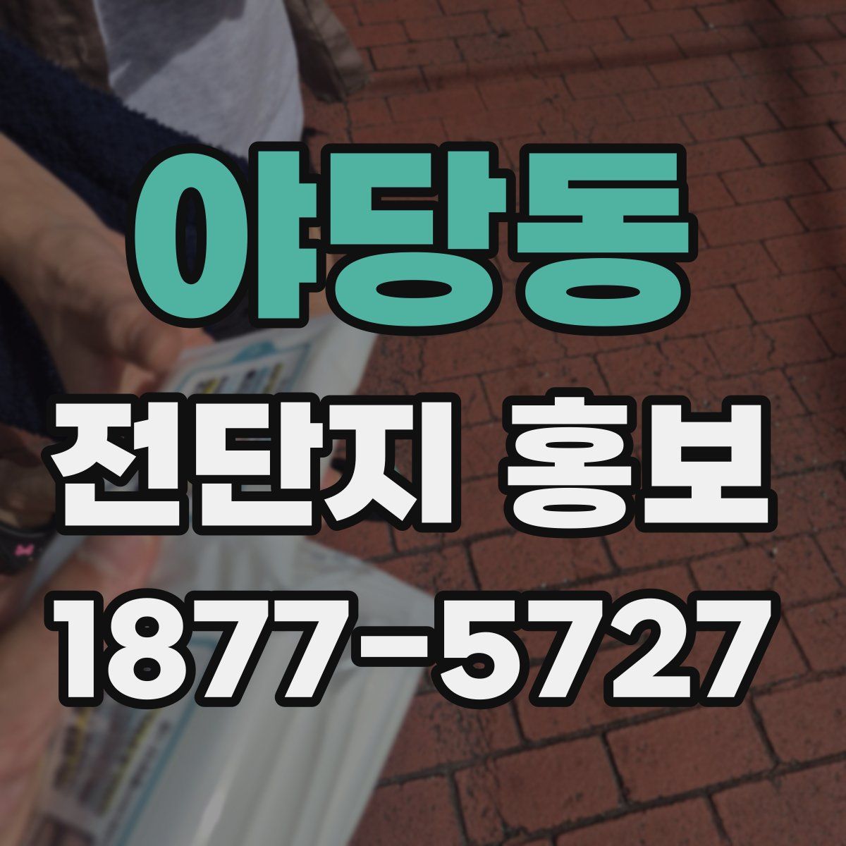 야당동 전단지 홍보