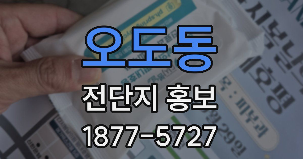 오도동 전단지 홍보