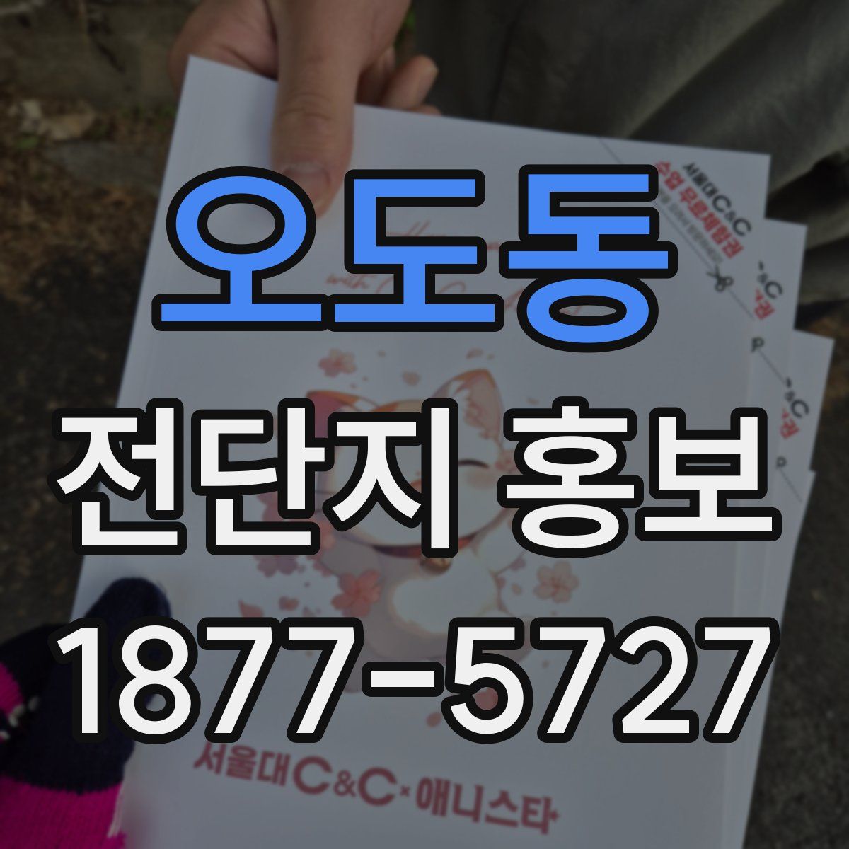 오도동 전단지 홍보