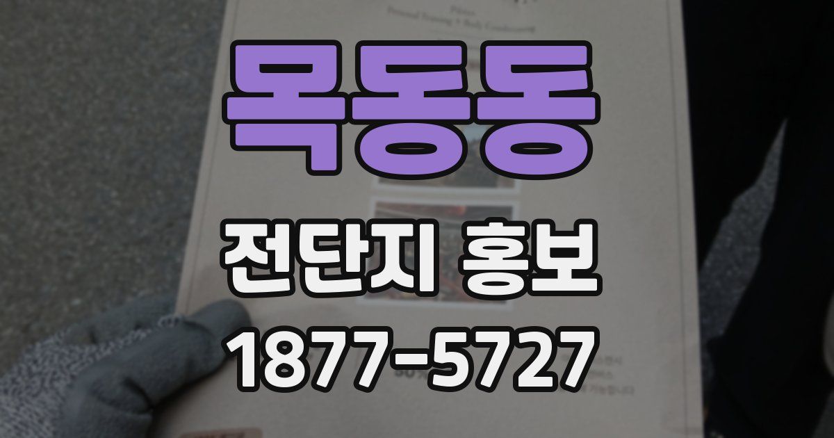 목동동 전단지 홍보