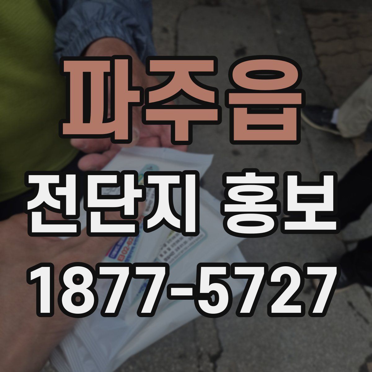 파주읍 전단지 홍보