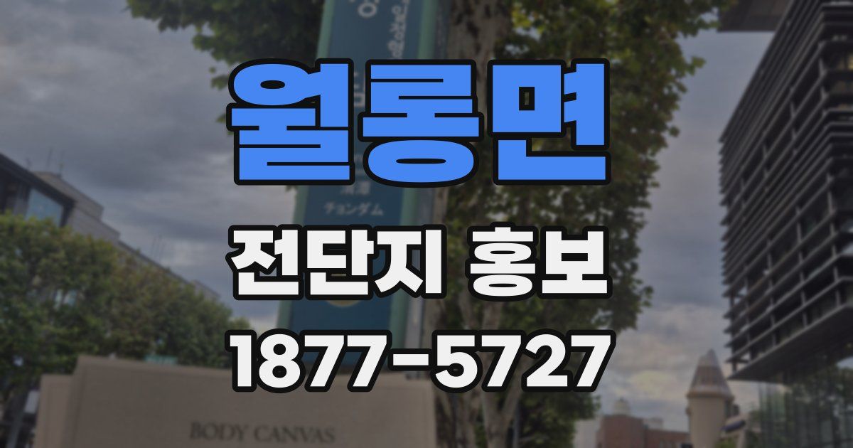 월롱면 전단지 홍보