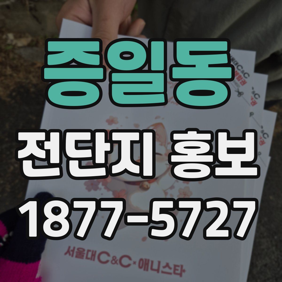 증일동 전단지 홍보