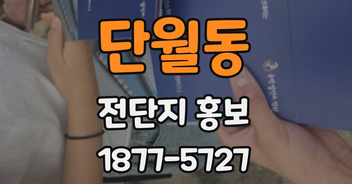 단월동 전단지 홍보