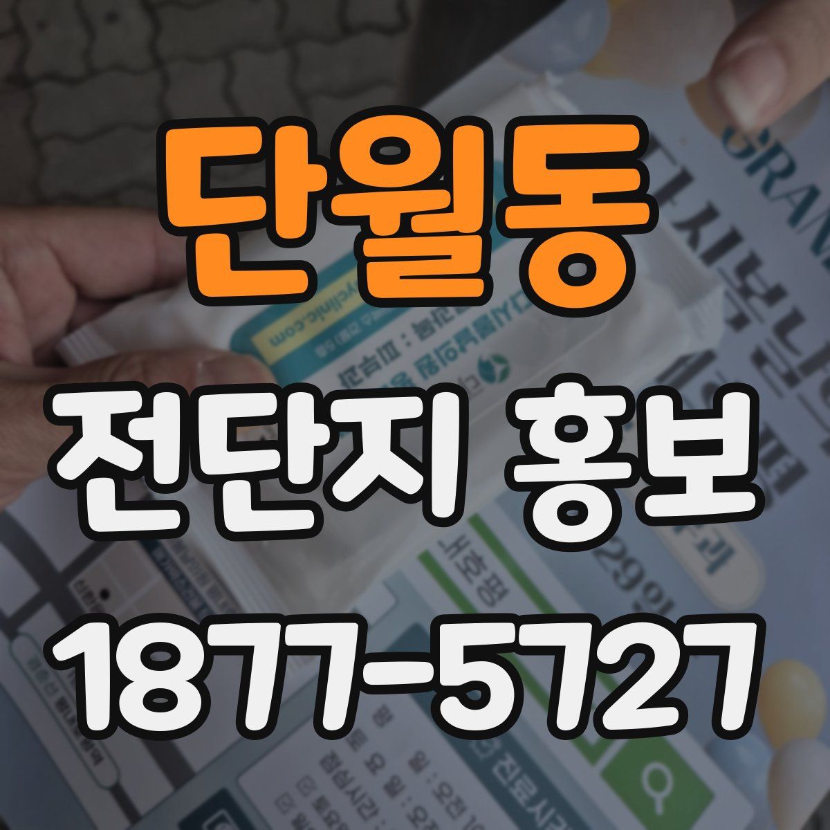 단월동 전단지 홍보