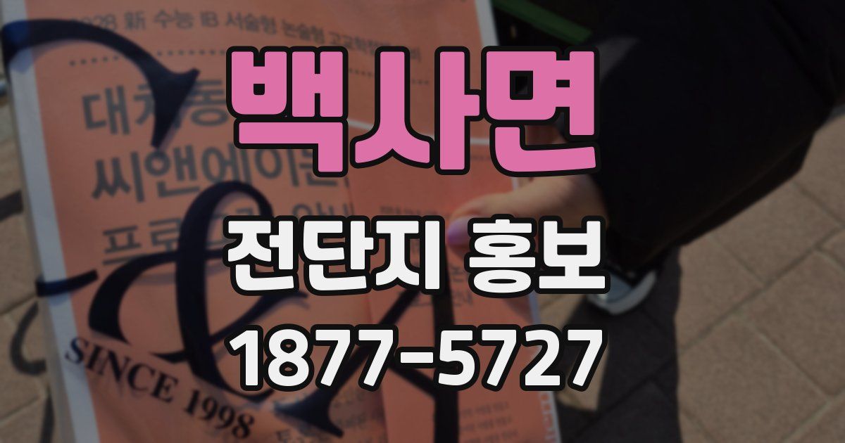 백사면 전단지 홍보