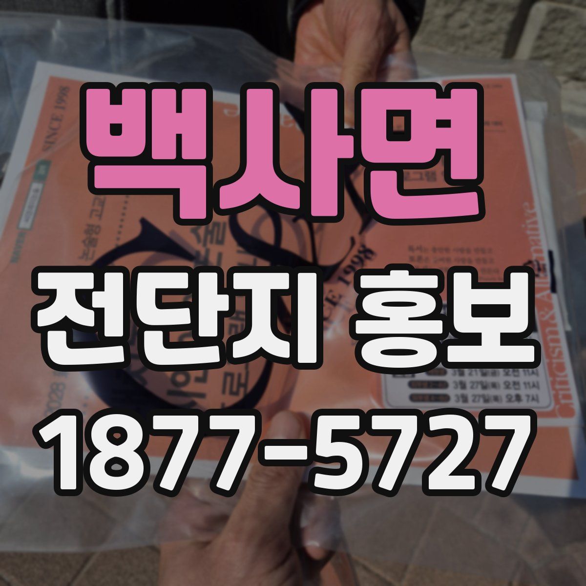 백사면 전단지 홍보